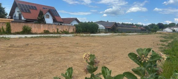 Terreno en Gralla, Austria No. 63458 4