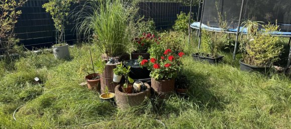 Bungalow de 4 habitaciónes en Cottbus, Germany No. 88898 3