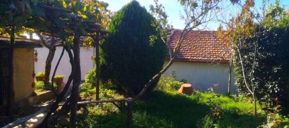 5 rooms Apartment in Scansano, Italy No. 66378 13