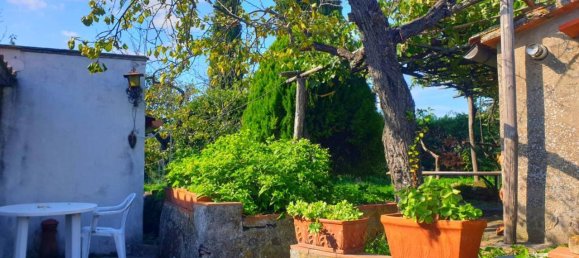 5 rooms Apartment in Scansano, Italy No. 66378 14