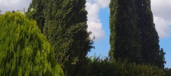 5 rooms Apartment in Scansano, Italy No. 66378 15