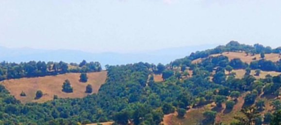 5 rooms Apartment in Scansano, Italy No. 66378 16