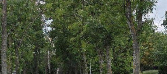 2 bedrooms Apartment in Maria Enzersdorf, Austria No. 217697 29