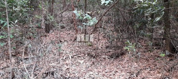  قطعة أرض في Penafiel, Portugal 20000متر مربع رقم 56162 4