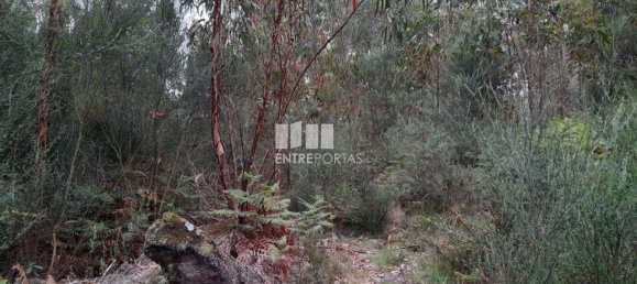  قطعة أرض في Penafiel, Portugal 20000متر مربع رقم 56162 8