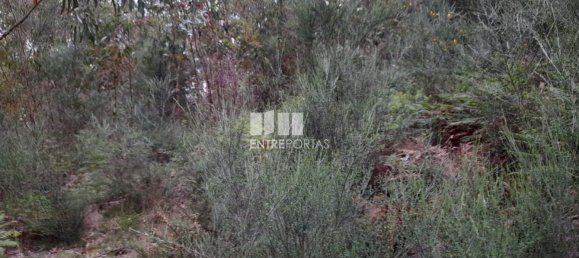  قطعة أرض في Penafiel, Portugal 20000متر مربع رقم 56162 6