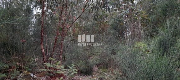  قطعة أرض في Penafiel, Portugal 20000متر مربع رقم 56162 10