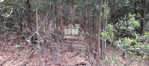  قطعة أرض في Penafiel, Portugal 20000متر مربع رقم 56162 5