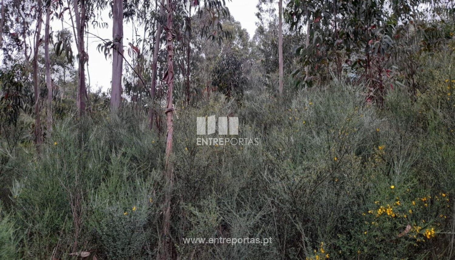  قطعة أرض في Penafiel, Portugal 20000متر مربع رقم 56162