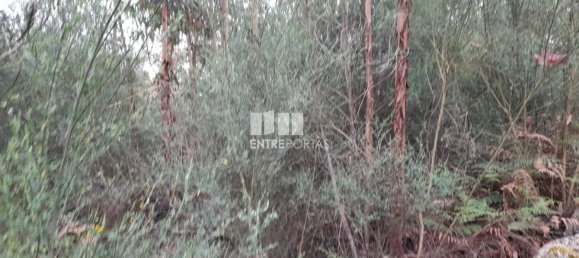  قطعة أرض في Penafiel, Portugal 20000متر مربع رقم 56162 2