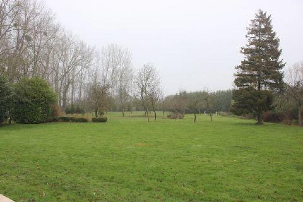 5 bedrooms House in Montreuil, France No. 24756