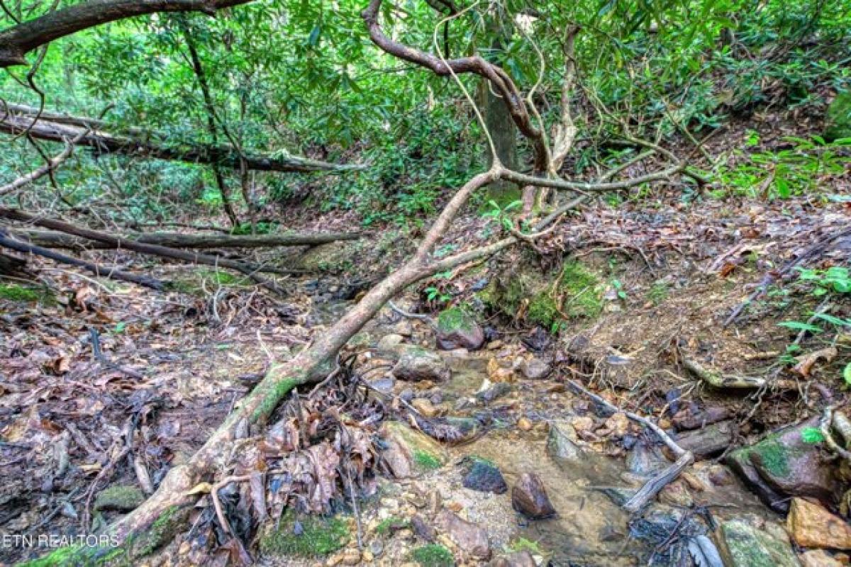 2 bedrooms House in Seymour, USA No. 399661