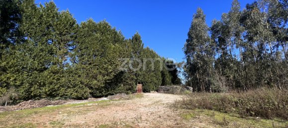  Land in Coimbra, Portugal No. 61269 9