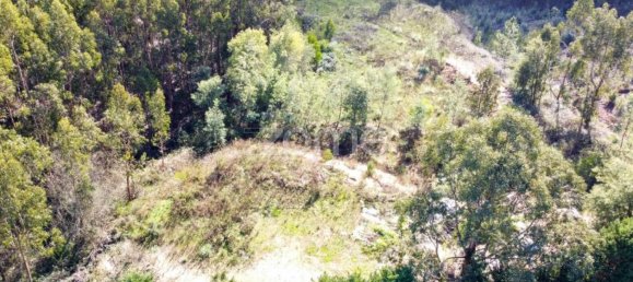  Land in Coimbra, Portugal No. 61269 13