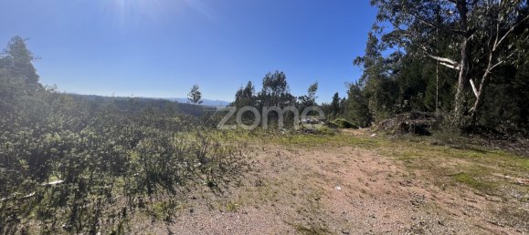  Land in Coimbra, Portugal No. 61269 7