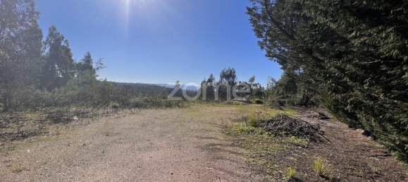  Land in Coimbra, Portugal No. 61269 5