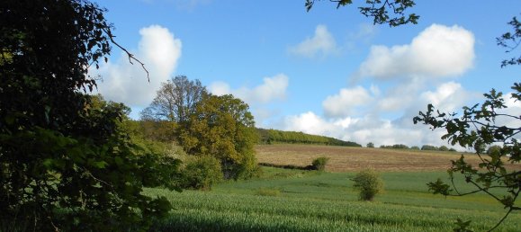 Propiedad comercial de 5 dormitorios en Courcite, France No. 1837 16