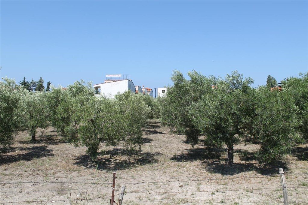 Hotel em Chalkidiki, Greece 1000 m² N.º 3794