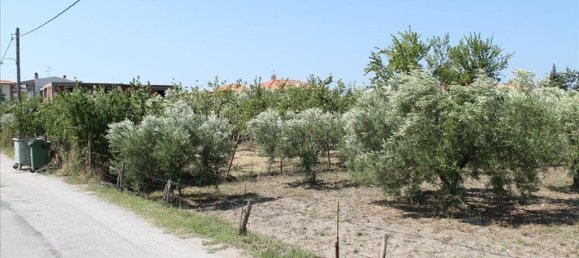 Hotel en Chalkidiki, Greece 1000 m² No. 3794 3