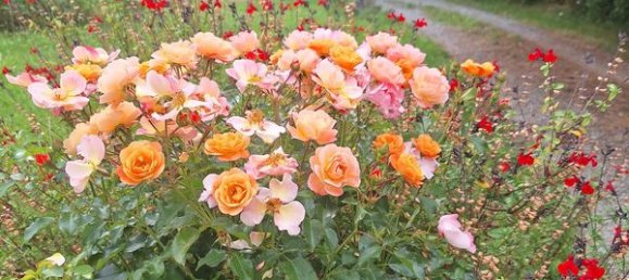 5 Schlafzimmer Villa in Pompignac, France, Nr. 294657 19