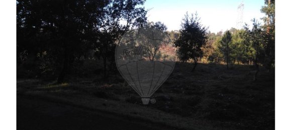 Terrain à Pombal, Portugal 6275m² No. 77425 7