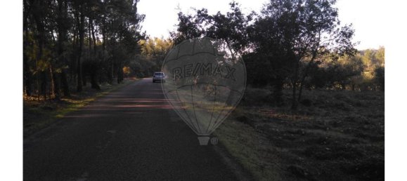 Terrain à Pombal, Portugal 6275m² No. 77425 5