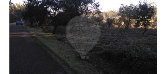 Terrain à Pombal, Portugal 6275m² No. 77425 6