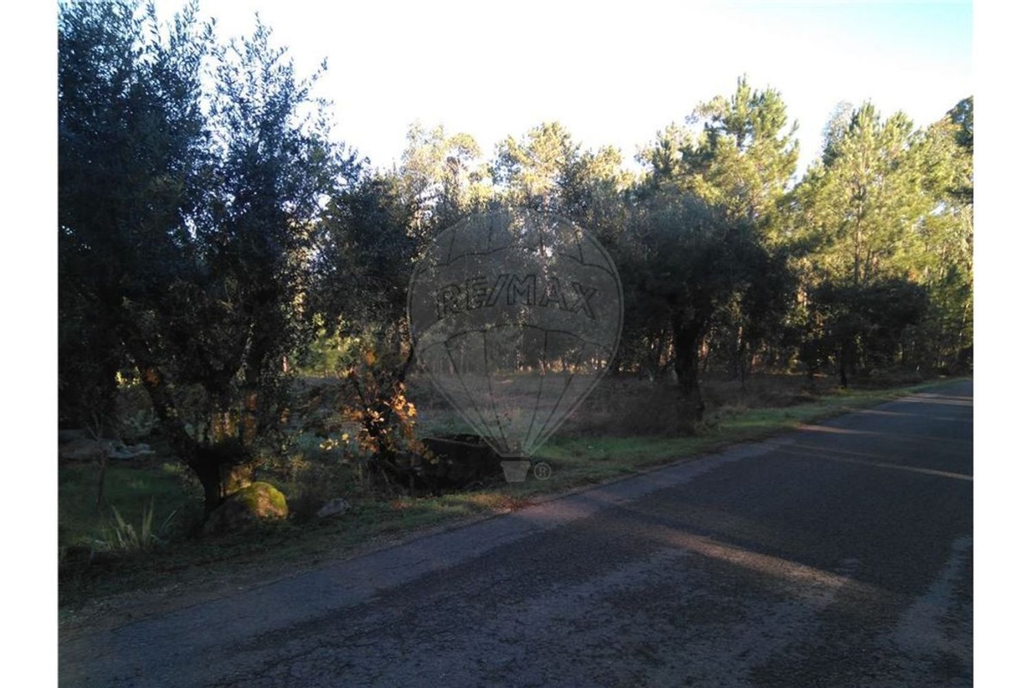 Terrain à Pombal, Portugal 6275m² No. 77425