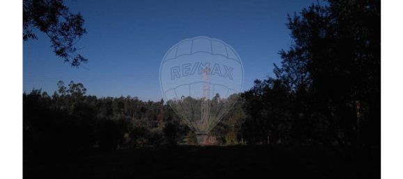 Terrain à Pombal, Portugal 6275m² No. 77425 4