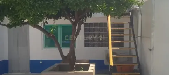 Villa de 4 dormitorios en Ferreira do Alentejo, Portugal No. 190197 27