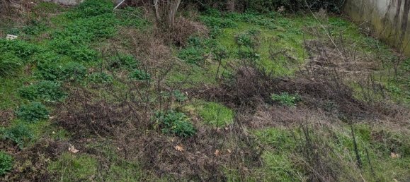 1 Schlafzimmer Stadthaus in Gard, France, Nr. 320285 8