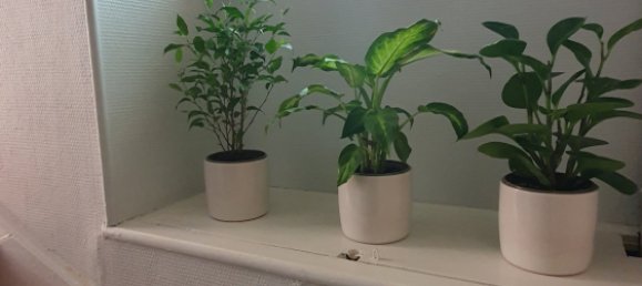 Таунхаус с 3 спальнями в Вильмё-сюр-Эр, Франция № 82469 5