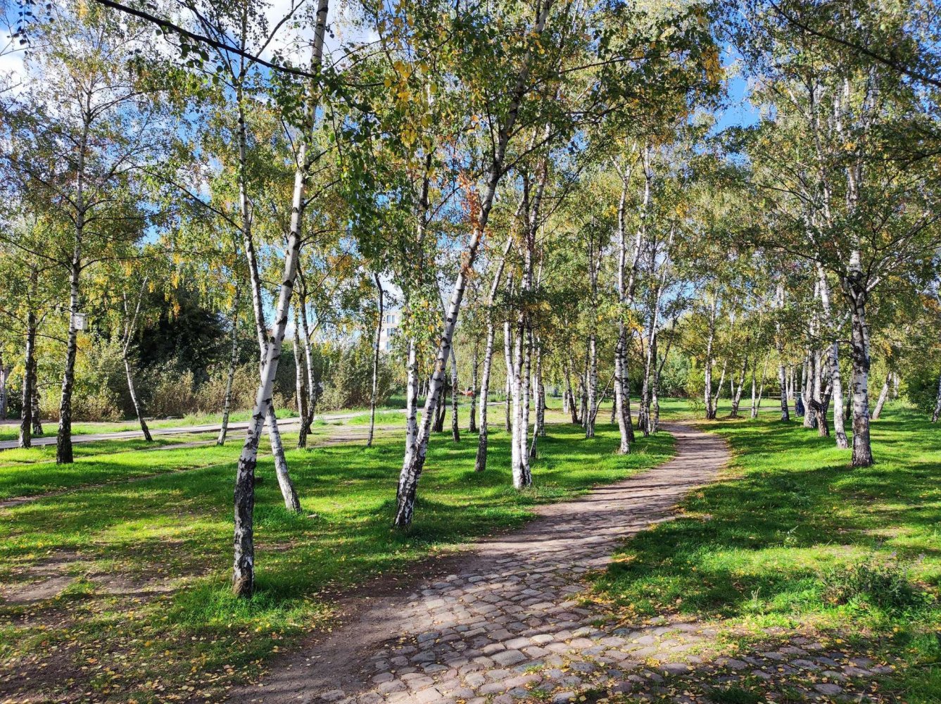 1 غرف نوم شقة في Prenzlauer Berg, Germany رقم 27416