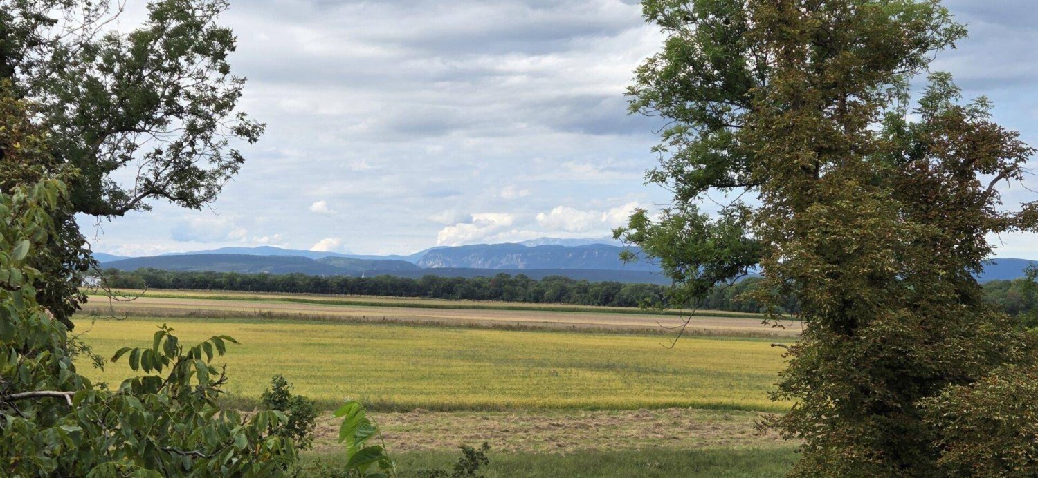 4 rooms Apartment in Blumau-Neurisshof, Austria No. 245788