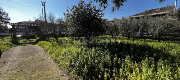 1800m² Land in Ciampino, Italy No. 198557 5
