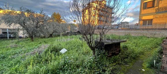 1800m² Land in Ciampino, Italy No. 198557 8