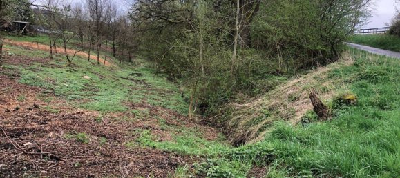 Terreno en Rhein-Sieg, Germany No. 260533 2