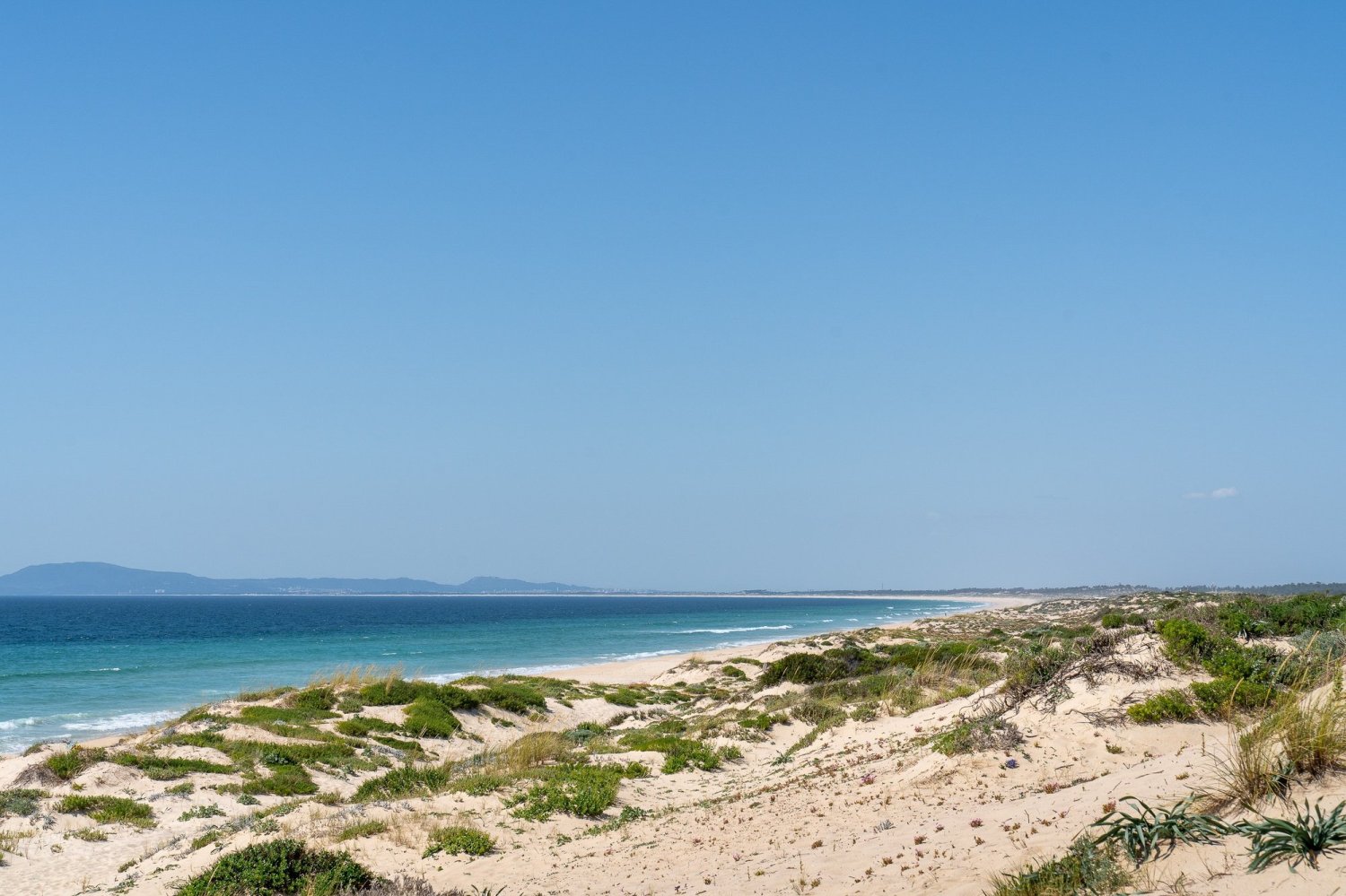 Grundstück in Grandola, Portugal 1400m², Nr. 103151