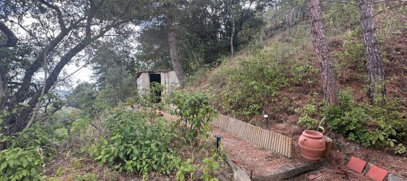 4 rooms Villa in Limoux, France No. 297831 12