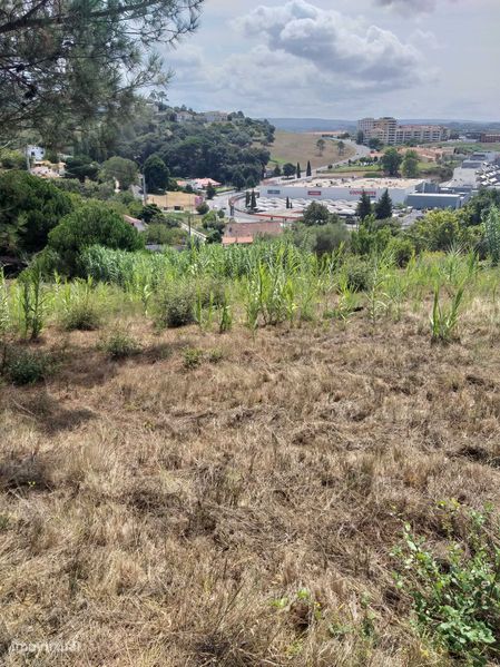 4513m² Land in Alcobaca, Portugal No. 307871