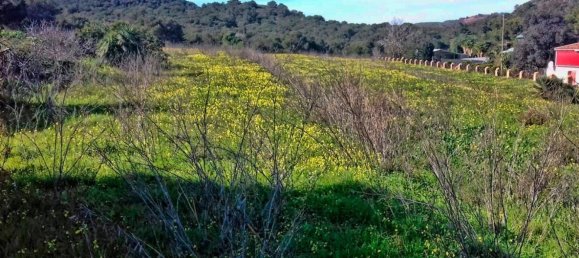  Land in Cartagena, Spain No. 166400 6