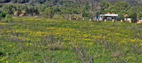  Land in Cartagena, Spain No. 166400 5