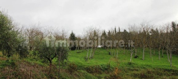 5-salle Entrepôt à Sant'Elpidio a Mare, Italy No. 320602 10