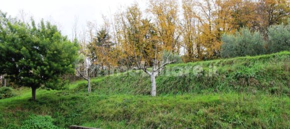 5-salle Entrepôt à Sant'Elpidio a Mare, Italy No. 320602 7