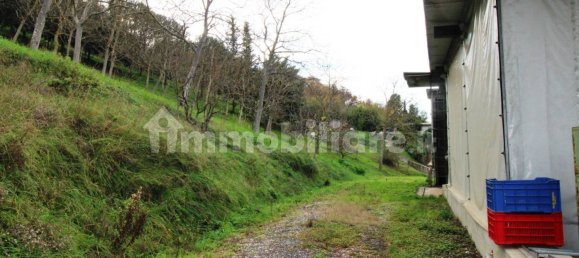 5-salle Entrepôt à Sant'Elpidio a Mare, Italy No. 320602 11