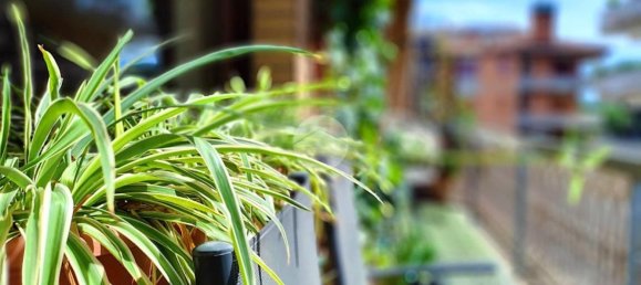 3 rooms Apartment in Rome, Italy No. 286767 23