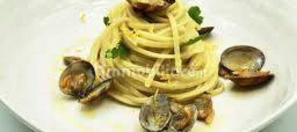 2-Zimmer Gewerbliche Immobilie in Monselice, Italy, Nr. 267463 4