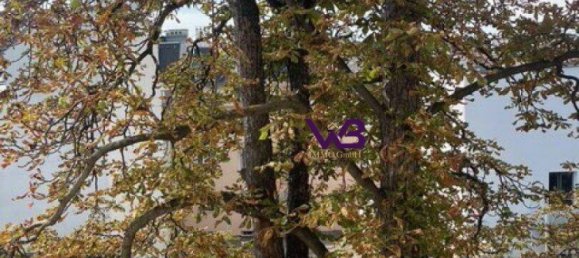 5 rooms Duplex in Wahring, Austria No. 245085 18