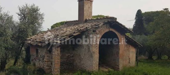 Studio in Monte Porzio Catone, Italy No. 335846 11