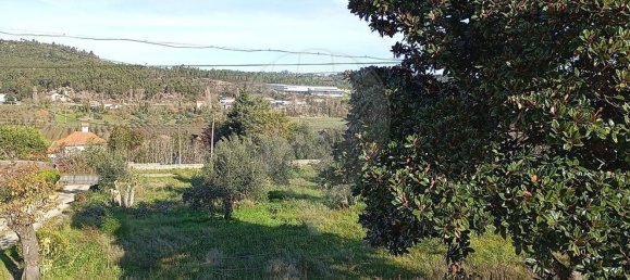 Studio in Ourem, Portugal, Nr. 67514 7